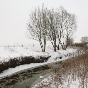 23.2.2013 Cezava