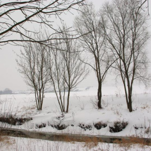 23.2.2013 Cezava