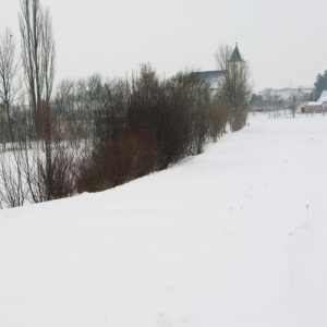 23.2.2013 Biokoridor za hřištěm