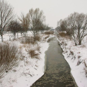 23.2.2013 Cezava