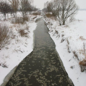 23.2.2013 Cezava