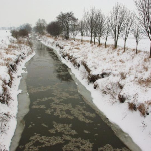 23.2.2013 Cezava