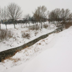 23.2.2013 Cezava