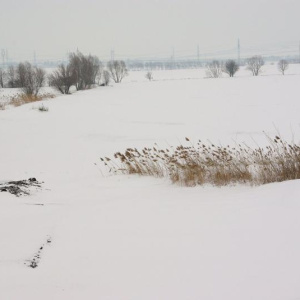 23.2.2013