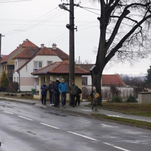 29.3.2013