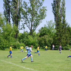 19.5.2013