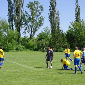 19.5.2013