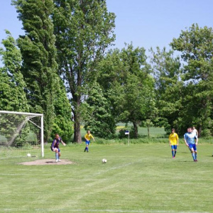 19.5.2013