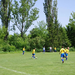 19.5.2013