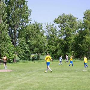 19.5.2013