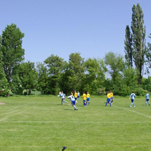 19.5.2013