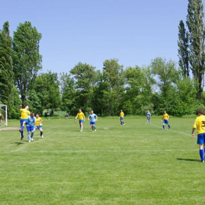 19.5.2013