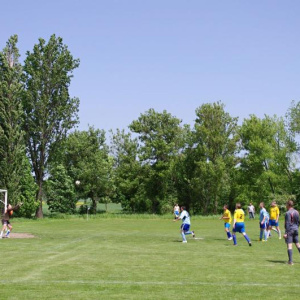 19.5.2013