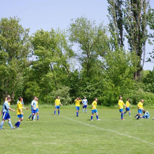 19.5.2013