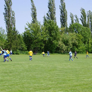 19.5.2013