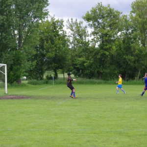 2.6.2013