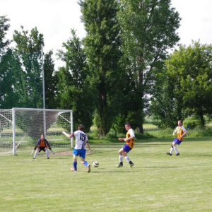 15.6.2013