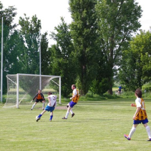 15.6.2013
