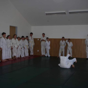 19.6.2013
