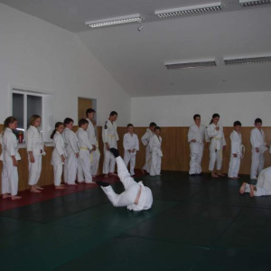 19.6.2013