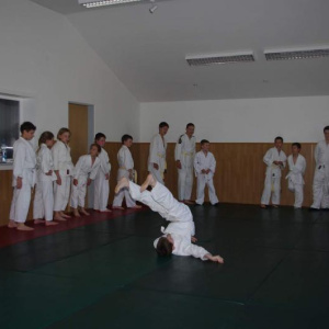 19.6.2013