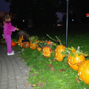 24.9.2013