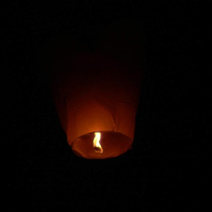 16.11.2013