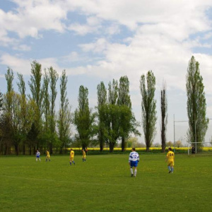 20.4.2014