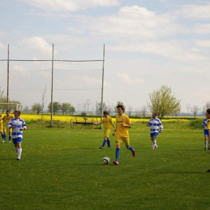20.4.2014