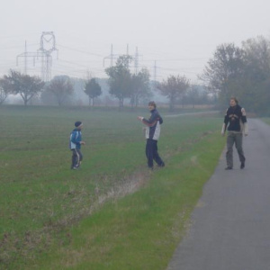 24.10.2008