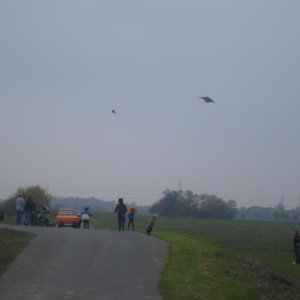 24.10.2008