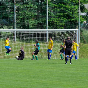 30.5.2015