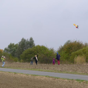 Drakiáda 2009 - Drak po vytažení z Cezavy