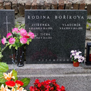 011 Boříkova
