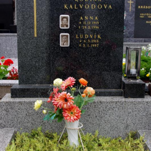017 Kalvodova