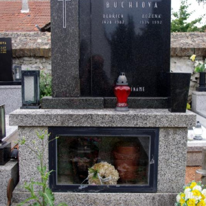 018 Buchtova