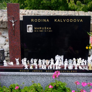 031 Kalvodova