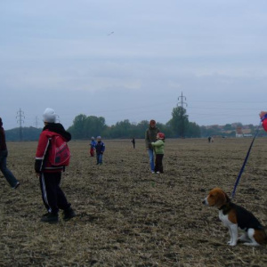 Drakiáda 2009 - bylo nač se dívat