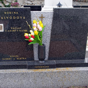 067 Kalvodova