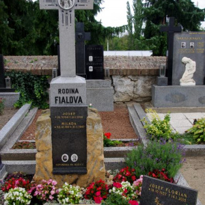 085 Fialova