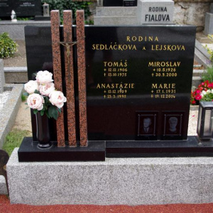 098 Lejskova