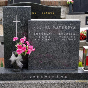 102 Mayerova