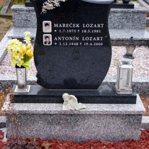105 Lozartova