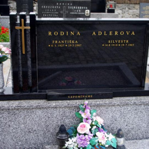 107 Adlerova