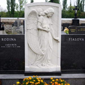 110 Fialova