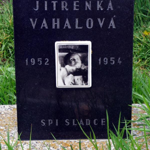 111 Váhalova