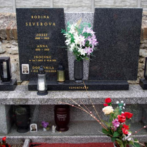 115 Severova