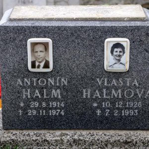 133 Halmova