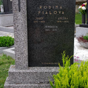 155 Fialova