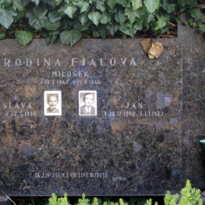 04 Fialova